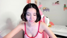 Webcam Korean Teen Anal Masturbation